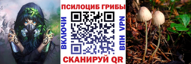 Галлюциногенные грибы Magic Shrooms  Нязепетровск 